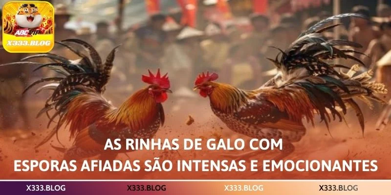 As rinhas de galo com esporas afiadas são intensas e emocionantes 