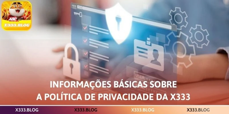 Informações básicas sobre a política de privacidade da X333