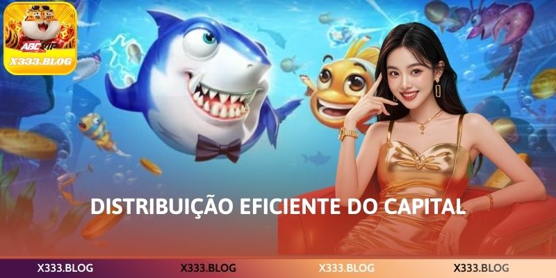 Distribuição eficiente do capital