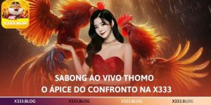 Sabong ao Vivo Thomo – O Ápice do Confronto na X333